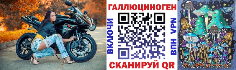 Псилоцибиновые грибы Cubensis  Красноуфимск 