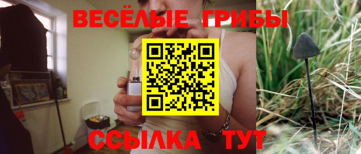 Псилоцибиновые грибы прущие грибы Красноуфимск